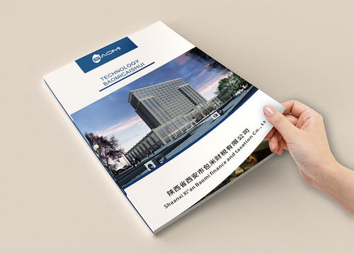 財務公司畫冊設計與企業(yè)形象策劃——代理做賬公司宣傳冊設計制作欣賞